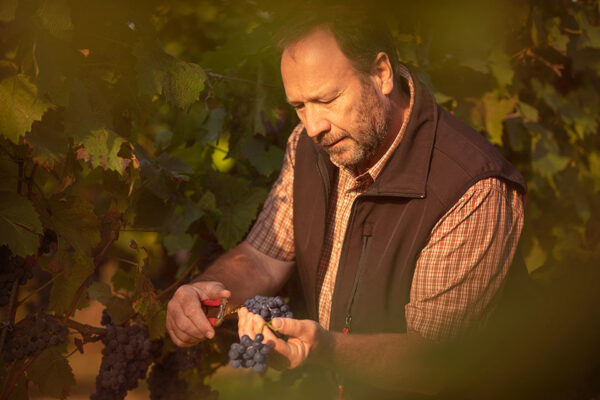WEINGUT SCHNEIDER-PFEFFERLE | HEITERSHEIM