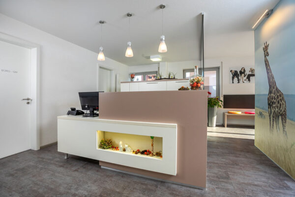 KIEFERORTHOPÄDIE | HAUSACH